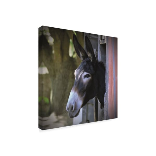 Christine Sainte-Laudy 'With My Donkey' Canvas Art,18x18